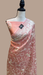 Pure Organza Chikankari Handloom Banarasi Saree - The Handlooms