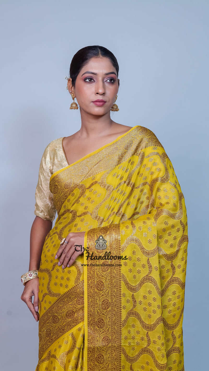 Pure Chiffon Khaddi Banarasi Saree