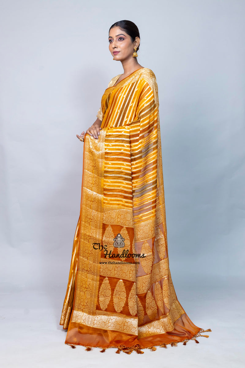 Pure Chiffon Khaddi Banarasi Saree