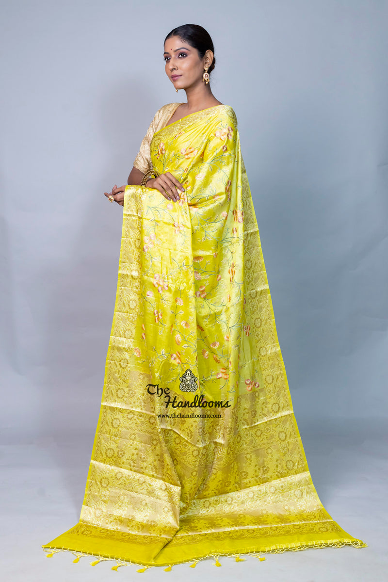 Tussar Silk Handloom Banarasi Saree With Chikankari