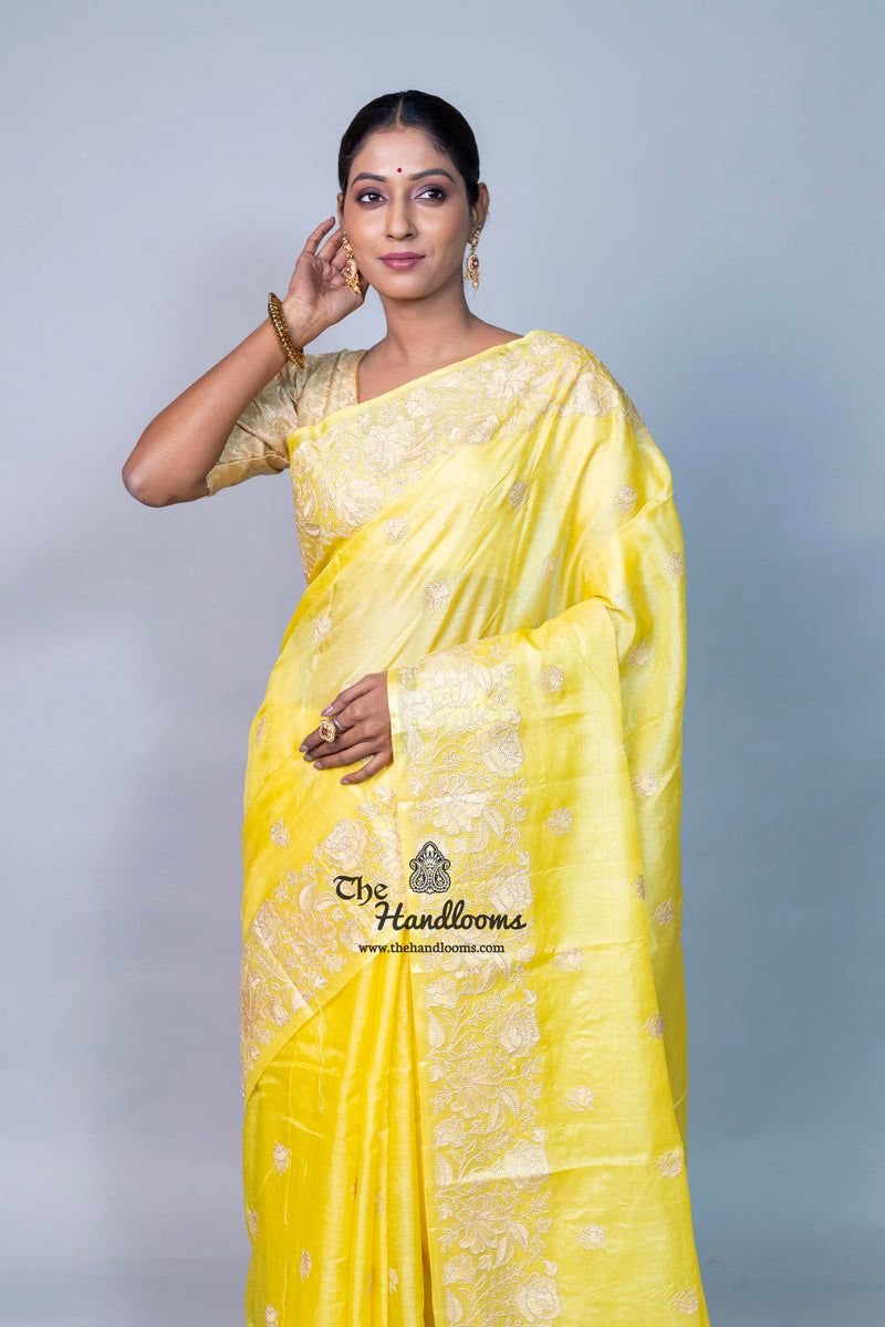 Tussar Silk Handloom Banarasi Saree With Chikankari