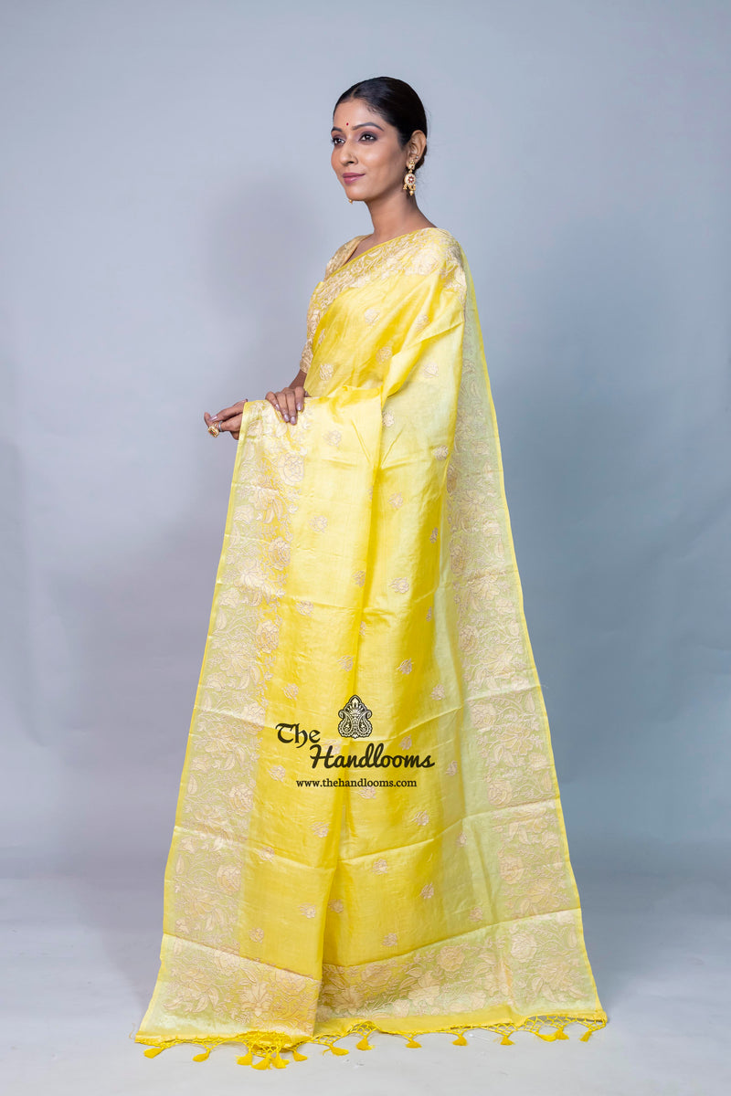 Tussar Silk Handloom Banarasi Saree With Chikankari