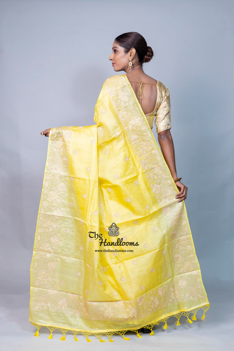 Tussar Silk Handloom Banarasi Saree With Chikankari