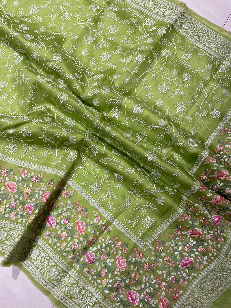 Pure Organza Chikankari Handloom Banarasi Saree - The Handlooms