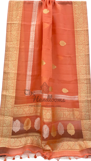 Pure Kora Handloom Banarasi Saree - Sona Roopa Alfi Kadua Boota - The Handlooms