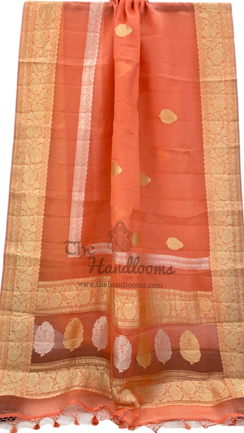 Pure Kora Handloom Banarasi Saree - Sona Roopa Alfi Kadua Boota - The Handlooms