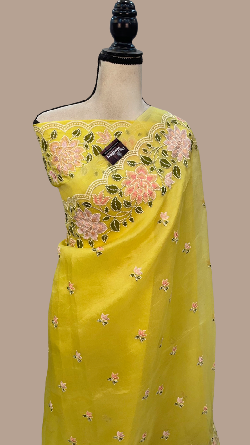 Pure Organza Chikankari Handloom Banarasi Saree - The Handlooms