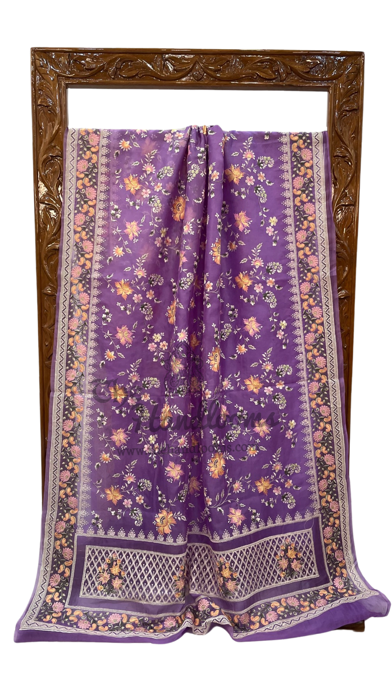 Organza Chikankari Handloom Banarasi Saree - The Handlooms