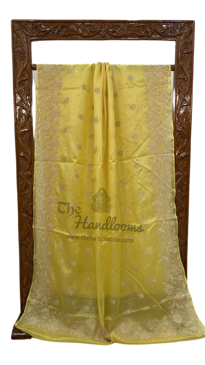 Tussar Silk Handloom Banarasi Saree With Chikankari - The Handlooms