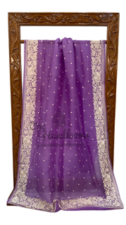 Pure Organza Chikankari Handloom Banarasi Saree - The Handlooms