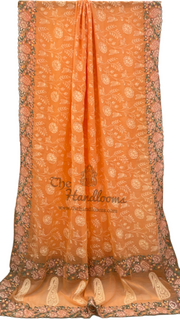 Pure Georgette Chikankari Handloom Banarasi Saree - The Handlooms