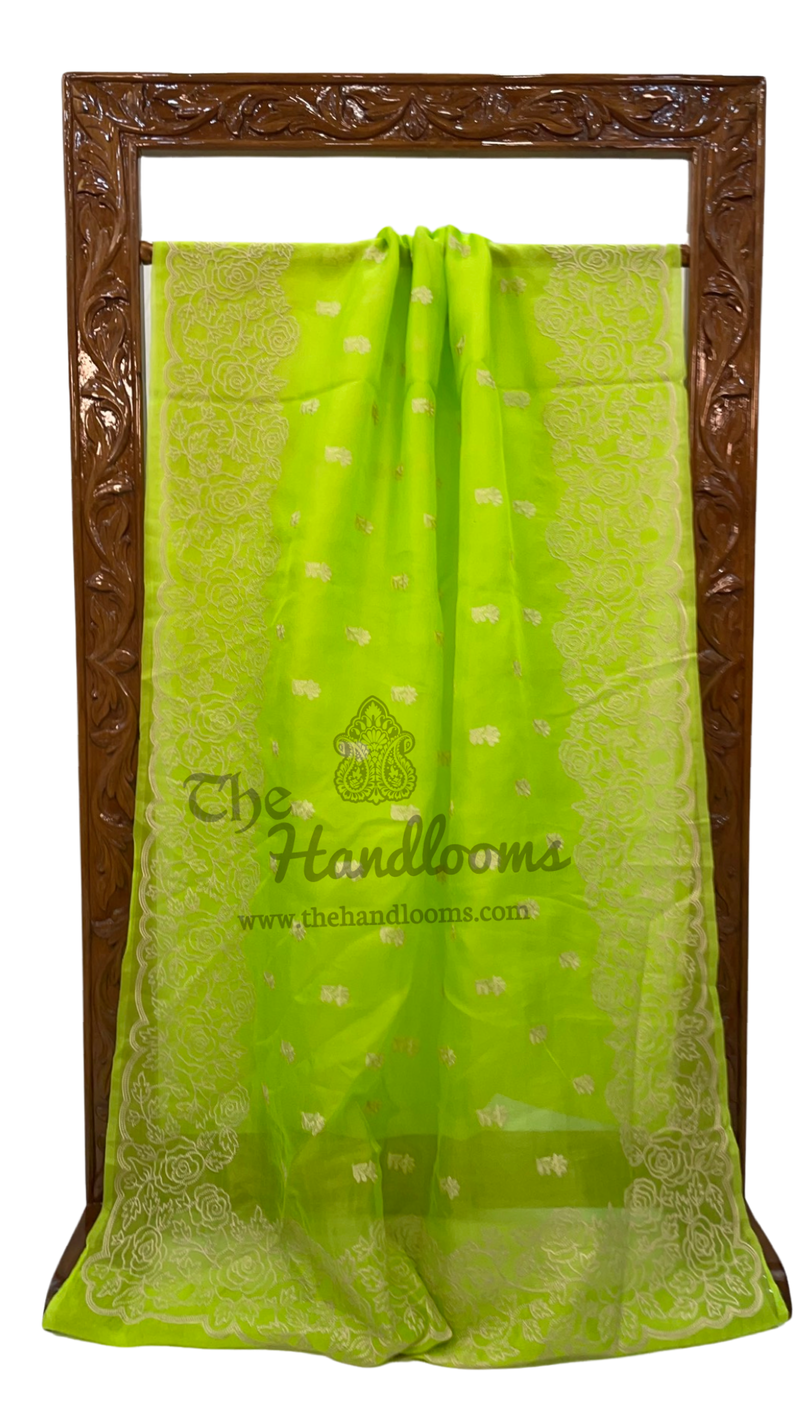 Organza Chikankari Handloom Banarasi Saree - The Handlooms