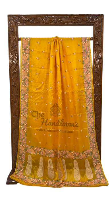 Tussar Silk Handloom Banarasi Saree With Chikankari