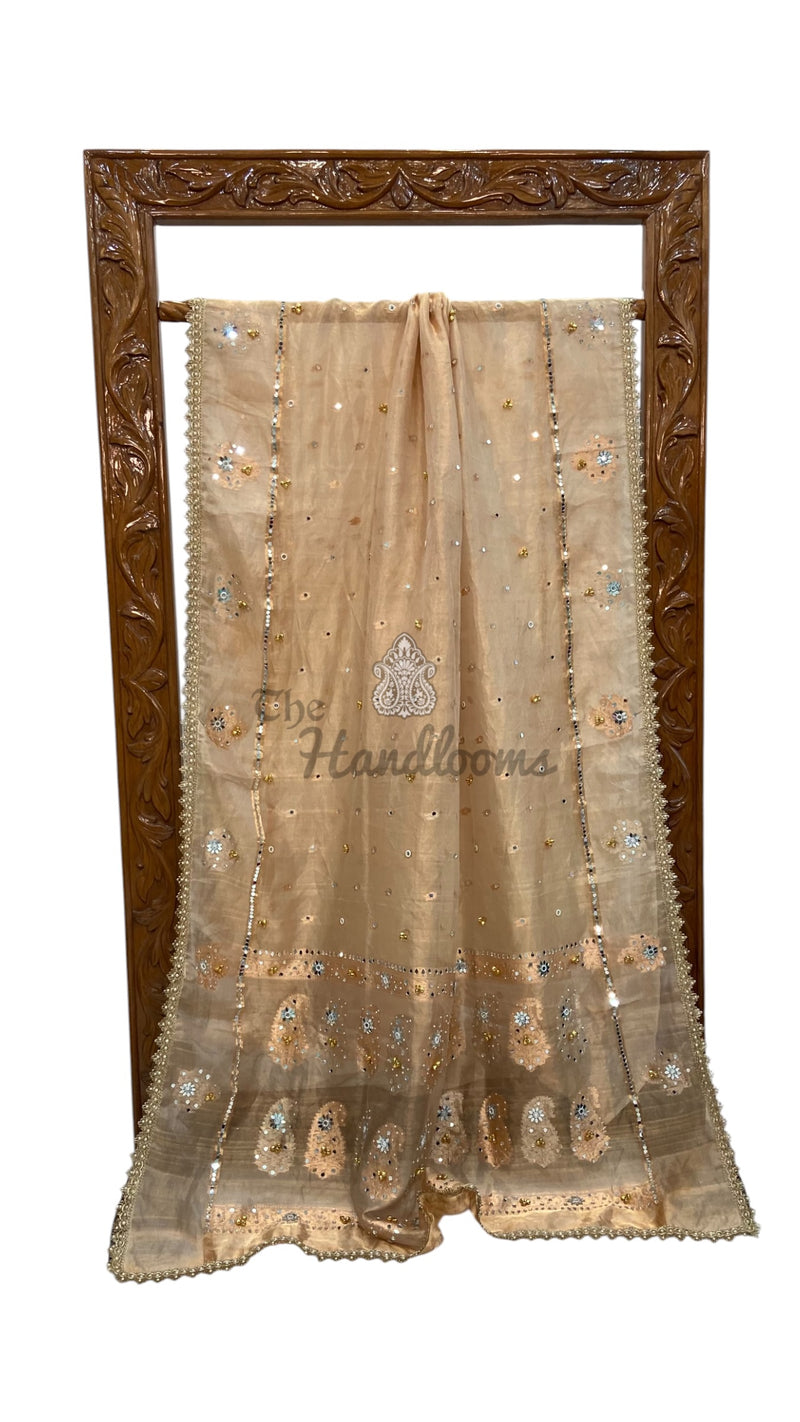 Pure Kora Tissue Silk Handloom Banarasi Saree - Handwork