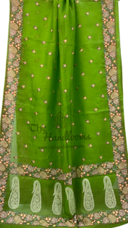 Pure Organza Chikankari Handloom Banarasi Saree - The Handlooms
