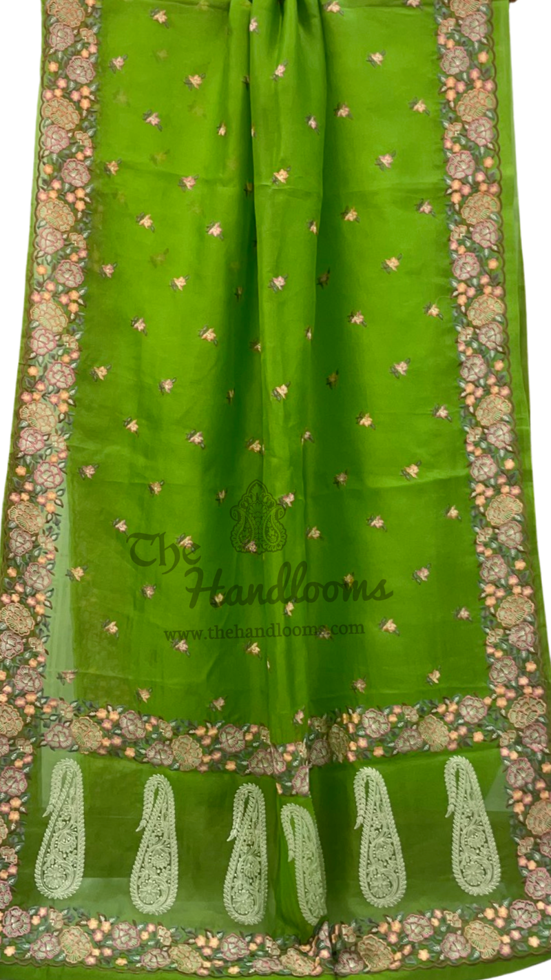 Pure Organza Chikankari Handloom Banarasi Saree - The Handlooms