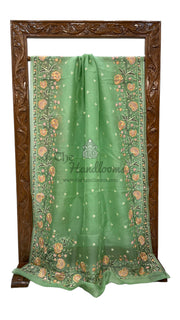 Pure Organza Chikankari Handloom Banarasi Saree - The Handlooms