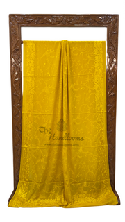 Pure Georgette Chikankari Handloom Banarasi Saree - The Handlooms
