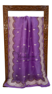 Pure Organza Chikankari Handloom Banarasi Saree - The Handlooms
