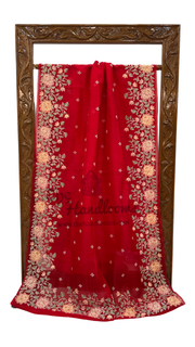 Pure Organza Chikankari Handloom Banarasi Saree - The Handlooms