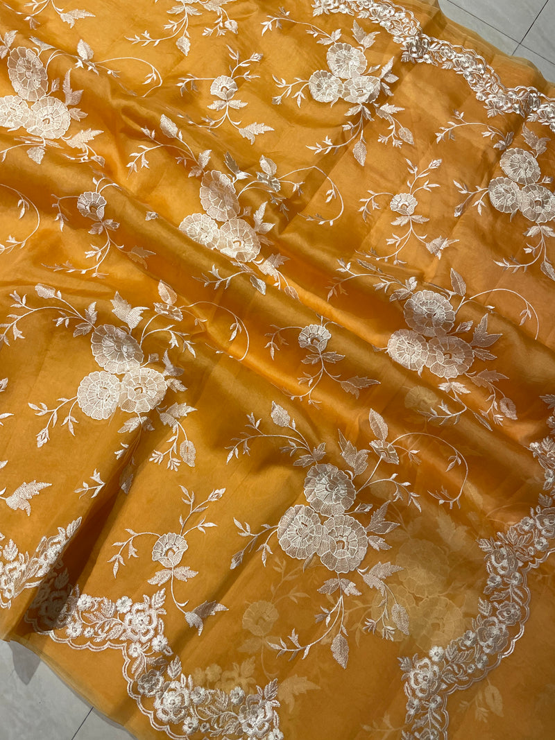Pure Organza Chikankari Handloom Banarasi Saree - The Handlooms
