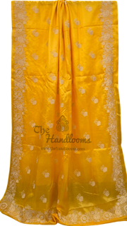 Tussar Silk Handloom Banarasi Saree With Chikankari - The Handlooms
