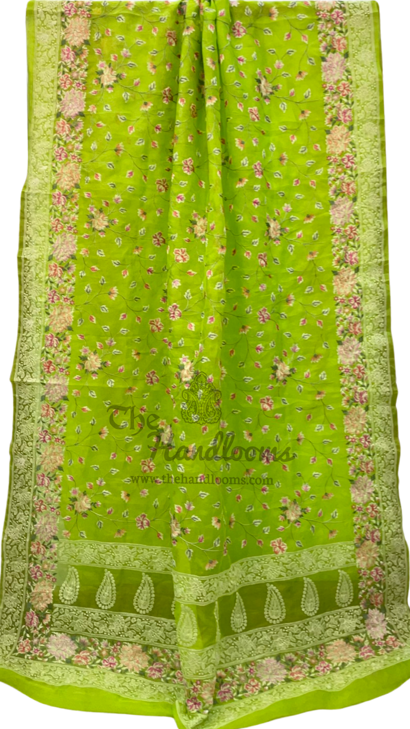 Pure Organza Chikankari Handloom Banarasi Saree - The Handlooms