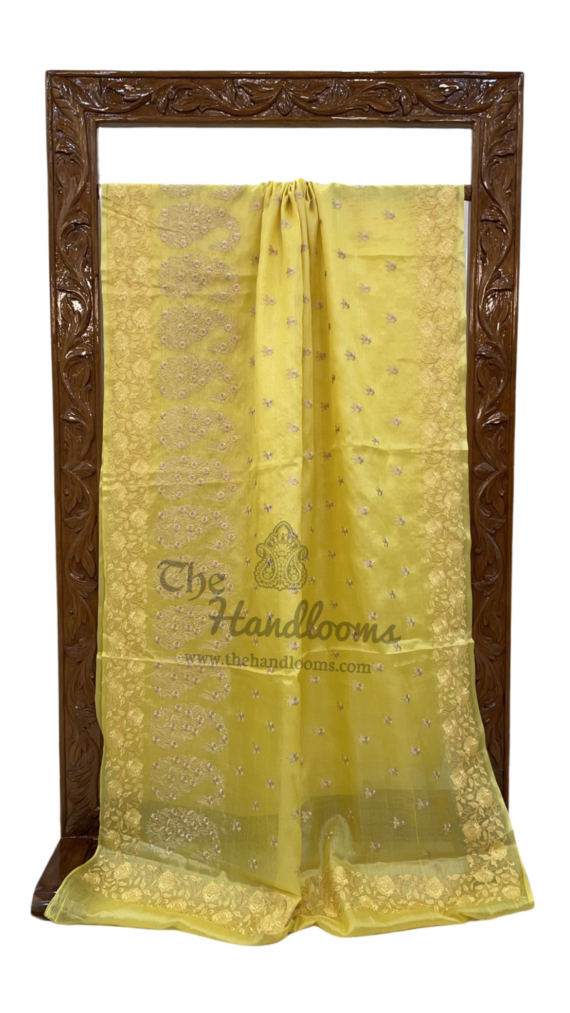 Tussar Silk Handloom Banarasi Saree With Chikankari - The Handlooms