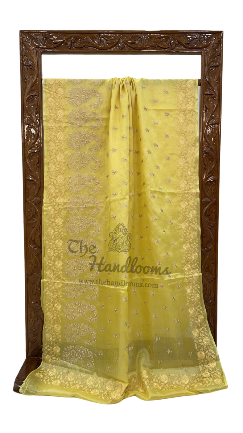 Tussar Silk Handloom Banarasi Saree With Chikankari