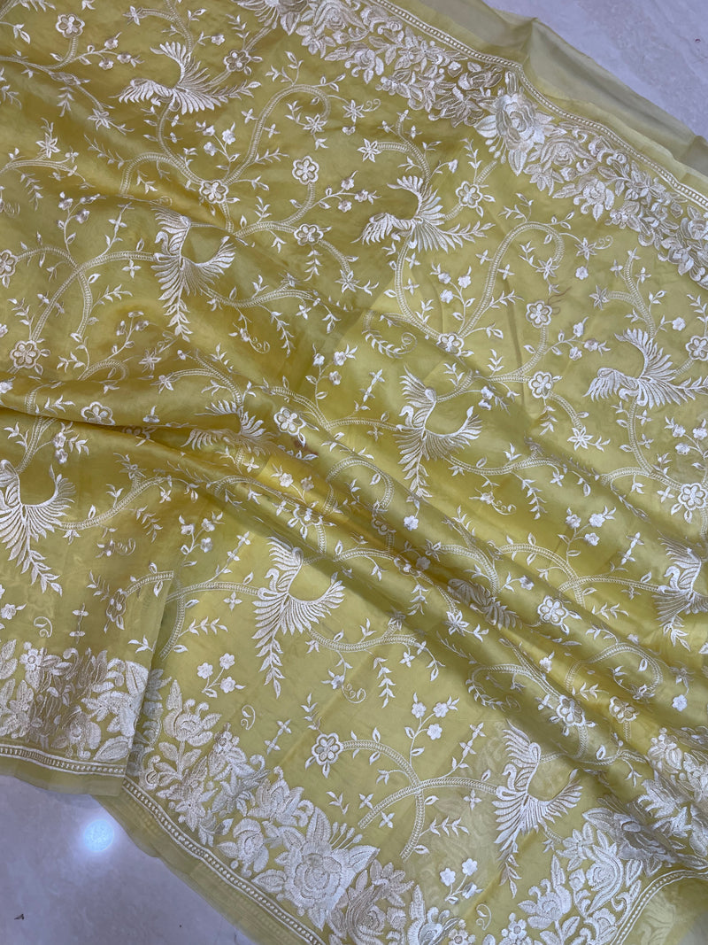 Pure Organza Chikankari Handloom Banarasi Saree - The Handlooms