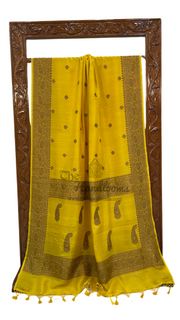 Tussar Georgette Handloom Banarasi Saree - All over kadua work - The Handlooms