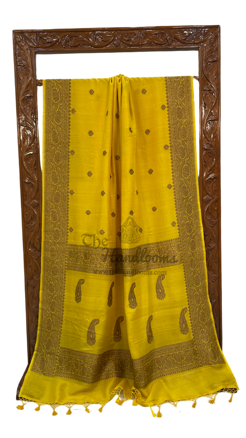Tussar Georgette Handloom Banarasi Saree - All over kadua work - The Handlooms