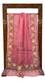 Pure Organza Chikankari Handloom Banarasi Saree - The Handlooms