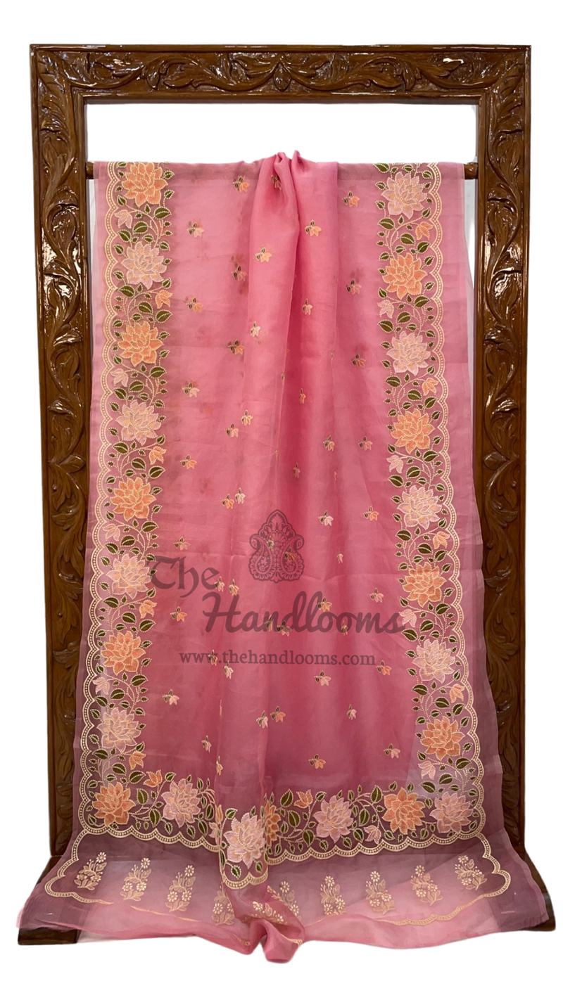 Pure Organza Chikankari Handloom Banarasi Saree - The Handlooms