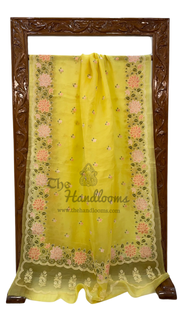 Pure Organza Chikankari Handloom Banarasi Saree - The Handlooms