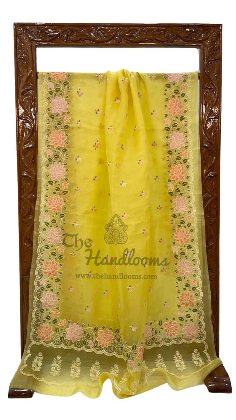 Pure Organza Chikankari Handloom Banarasi Saree - The Handlooms