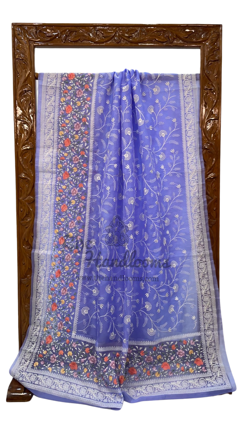 Pure Organza Chikankari Handloom Banarasi Saree - The Handlooms