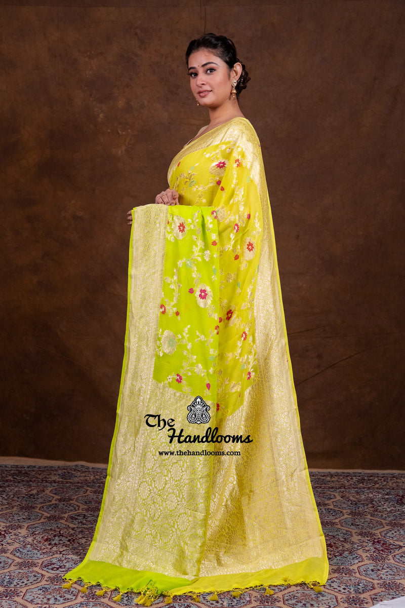 Pure Khaddi Georgette Handloom Banarasi Saree - All Over Jaal Work With Meenakari