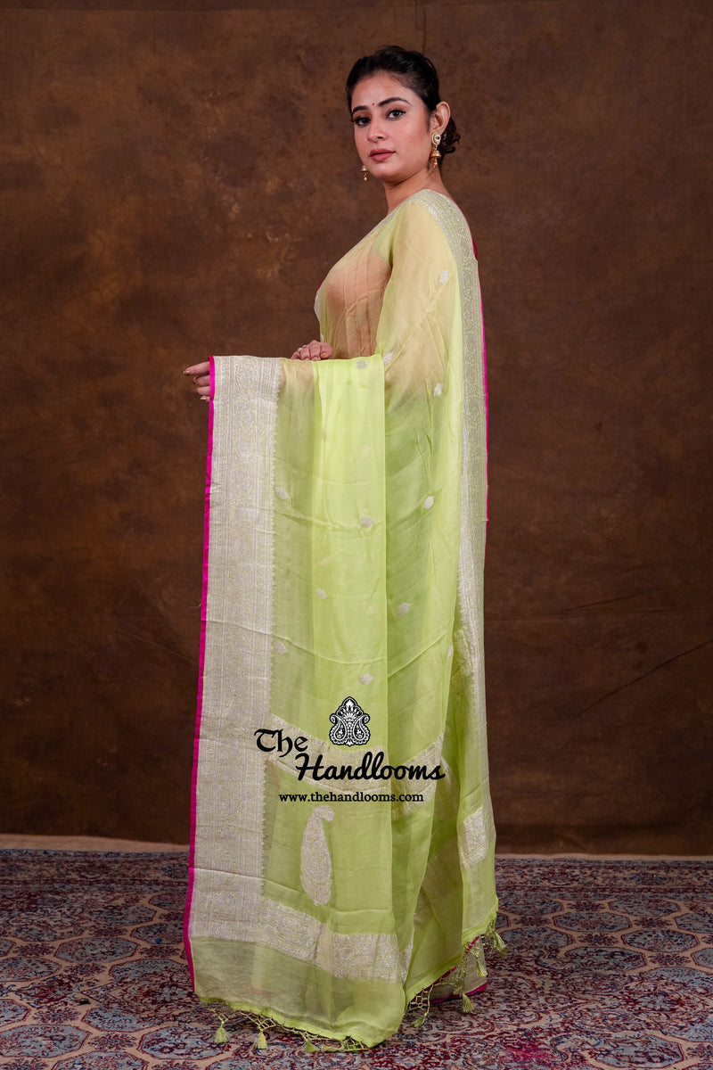 Pista Pure Georgette Banarasi Handloom Saree