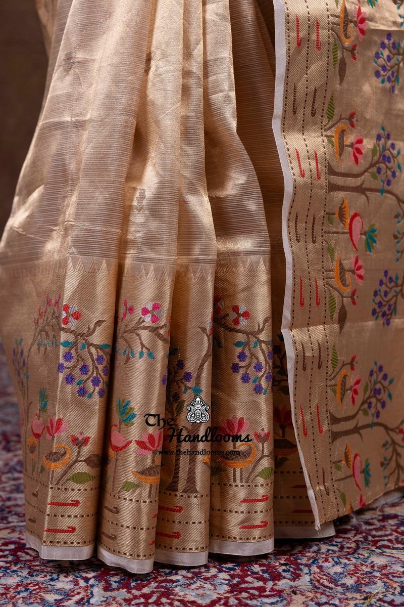 Pure Kora Tissue Handloom Banarasi Saree - Paithani Border