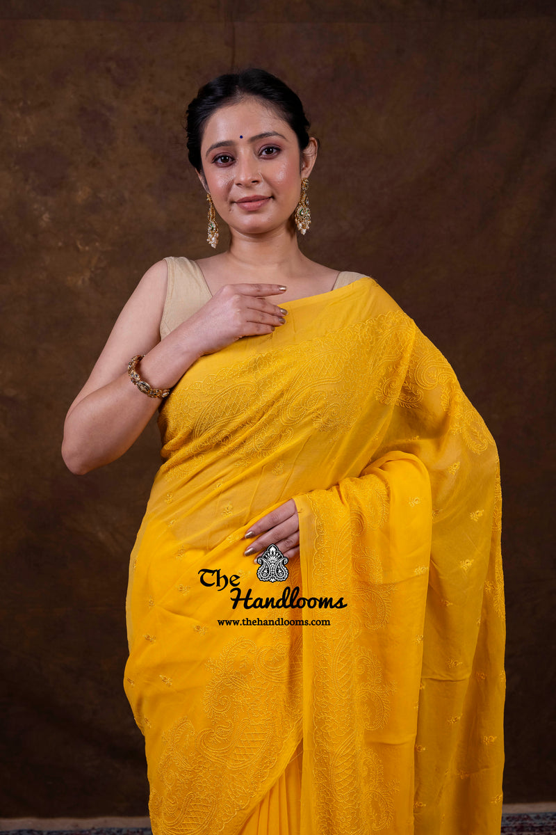 Pure Georgette Chikankari Handloom Banarasi Saree