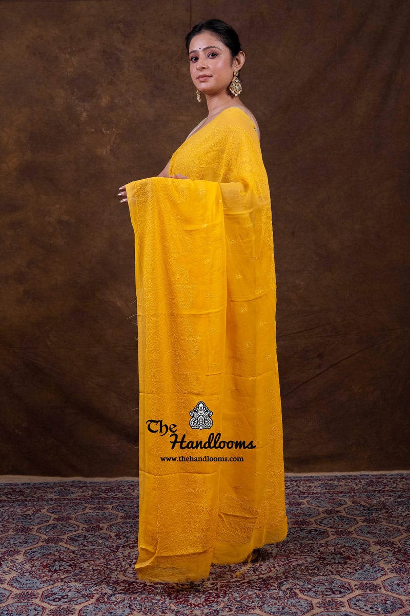 Pure Georgette Chikankari Handloom Banarasi Saree