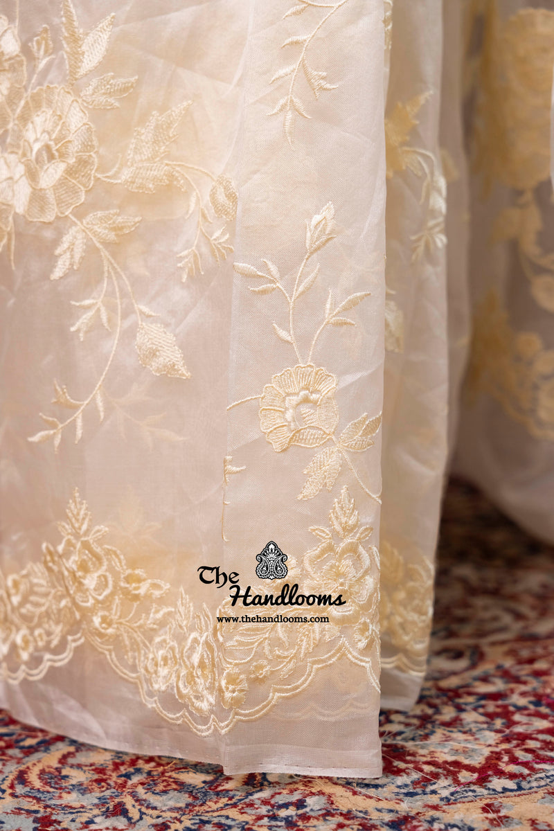 White Pure Organza Chikankari Handloom Banarasi Saree