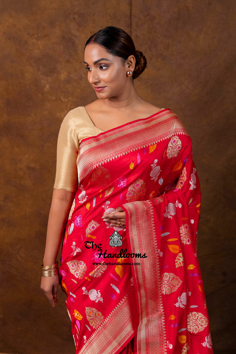 Red Ektara Pure Katan Silk Banarasi Handloom Saree - All Over Meenakari Kadiyal Jaal Work