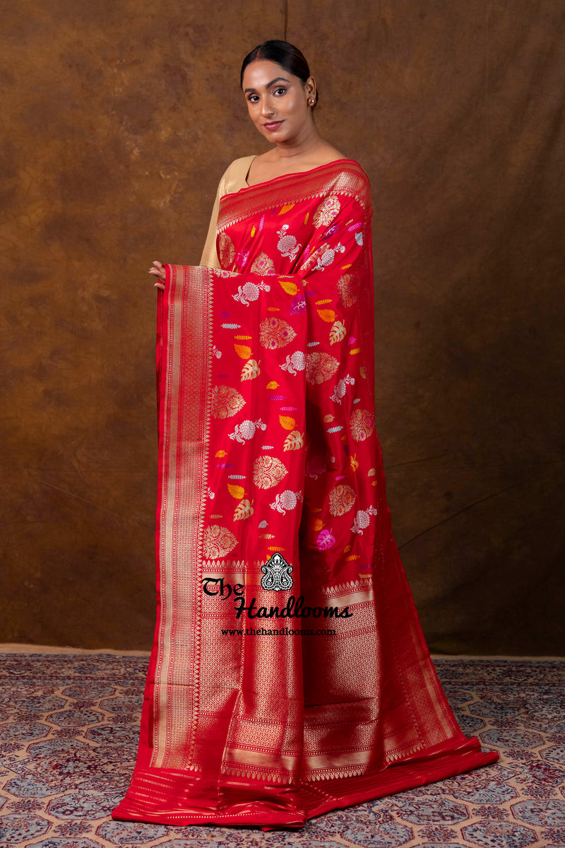 Red Ektara Pure Katan Silk Banarasi Handloom Saree - All Over Meenakari Kadiyal Jaal Work