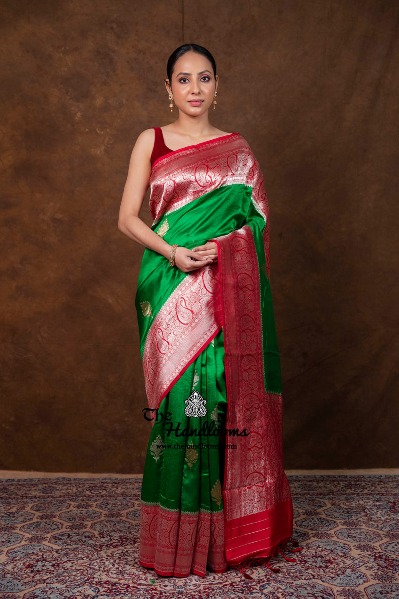 Pure Katan Silk Banarasi Handloom Saree - All Over Kadua Boota