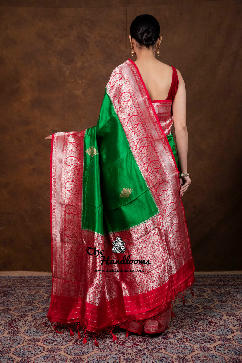 Pure Katan Silk Banarasi Handloom Saree - All Over Kadua Boota