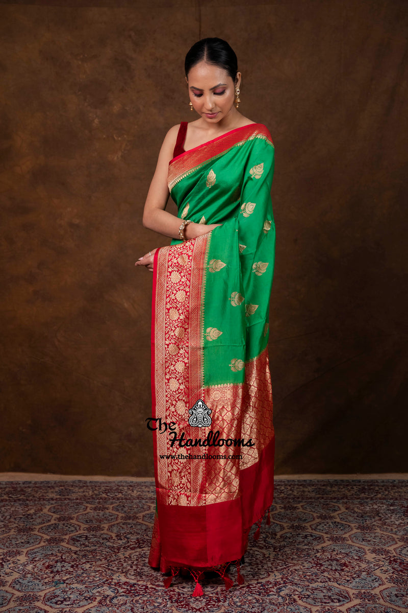 Pure Katan Silk Banarasi Handloom Saree - All Over Kadua Boota