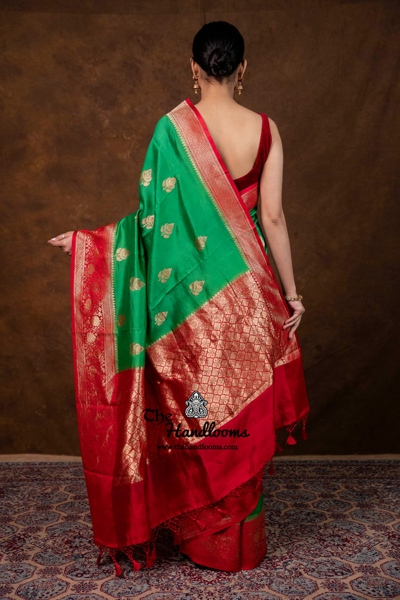 Pure Katan Silk Banarasi Handloom Saree - All Over Kadua Boota
