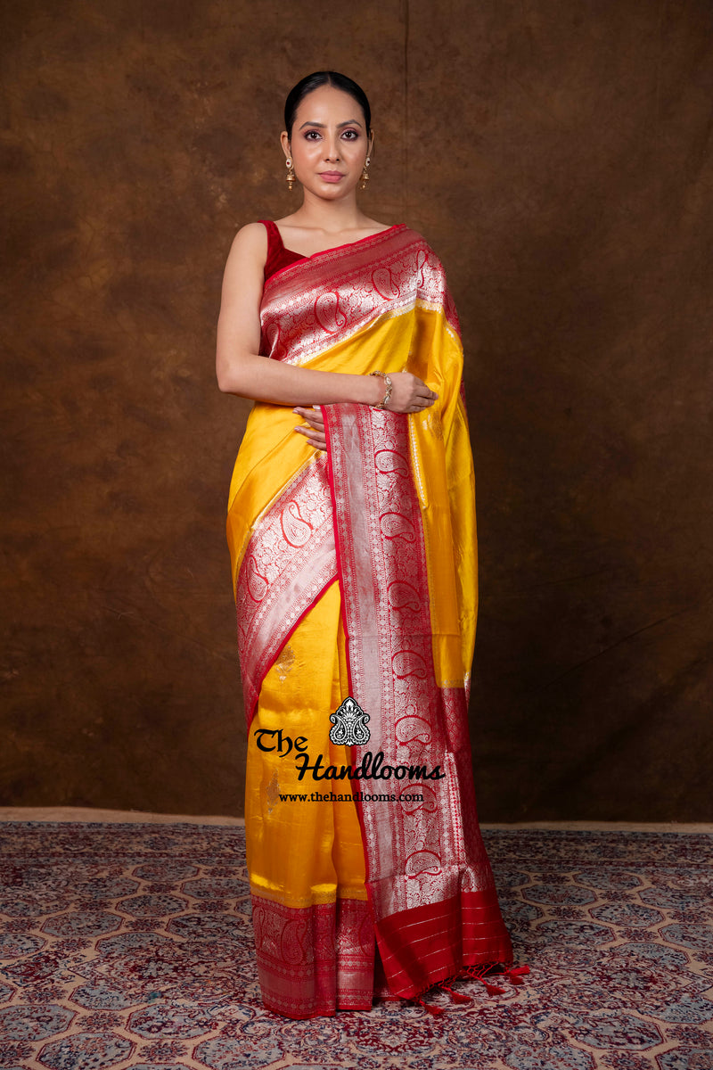 Pure Katan Silk Banarasi Handloom Saree - All Over Kadua Boota